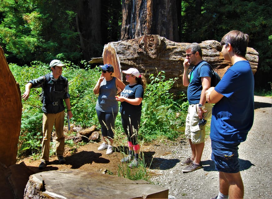 Wonder of the Redwoods - Prairie Creek State Park - Meeting Point and Restrictions