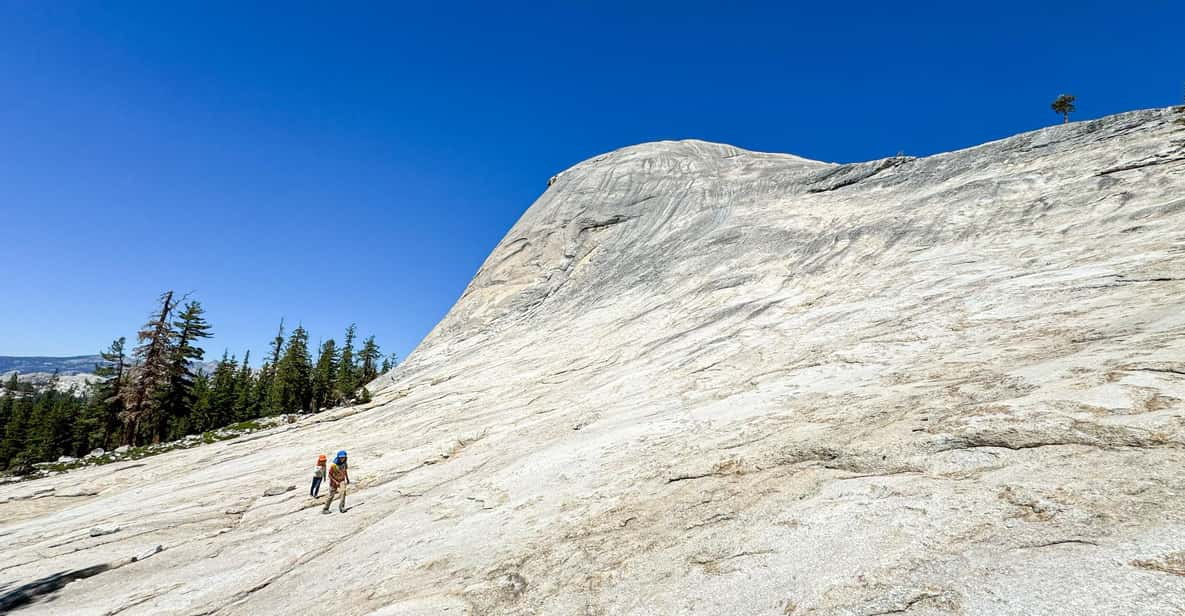 Wonders of Yosemite: Customizable Private Tour - Key Highlights