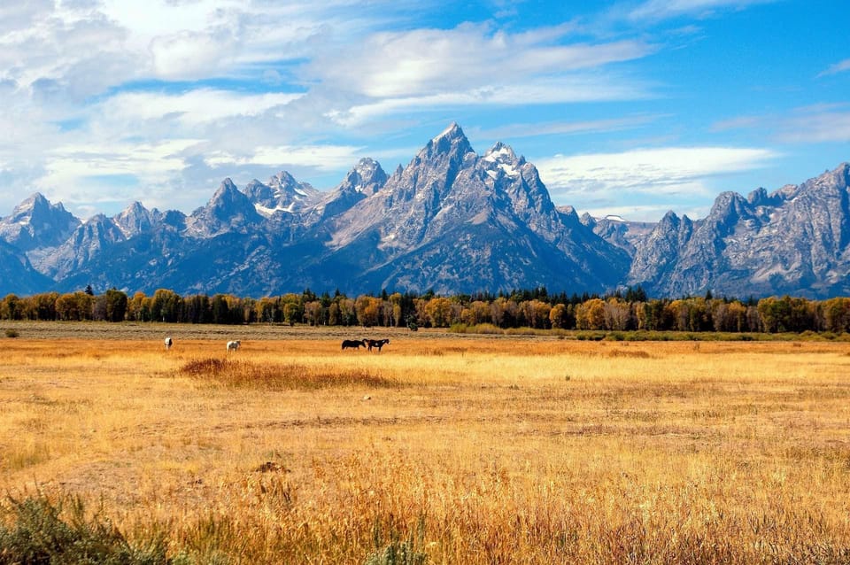 Yellowstone 4-Day Tour Salt Lake City With Airport Pickup - Experience Highlights