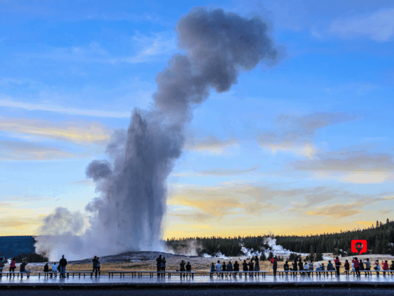Yellowstone National Park: Unforgettable Scenic Drive Tour - User Experiences and Reviews