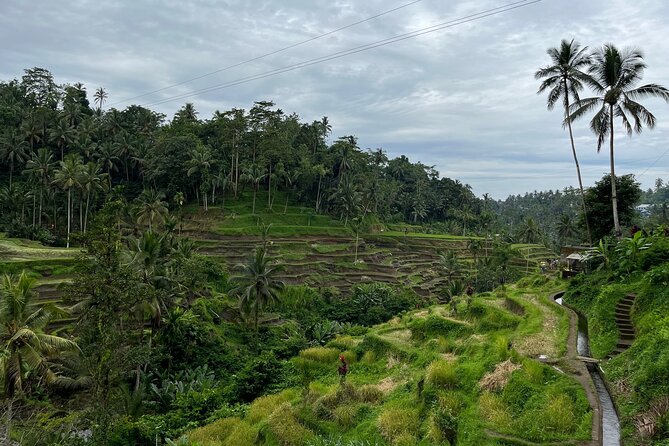 Your Balinese Journey, Crafted by Budi - Key Attractions Explored