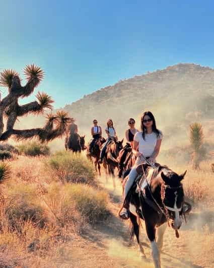 Yucca Valley: Joshua Tree National Park Horseback Ride - Activity Details