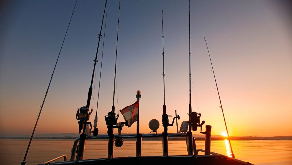 Zadar: Sunset Fishing Half-Day Guided Boat Trip - Fishing Experience