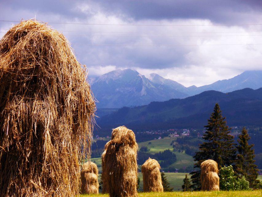 Zakopane City Highlights Private Walking Tour With a Guide - Experience Highlights