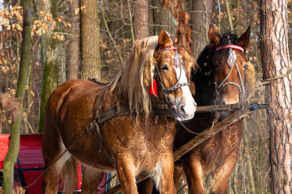 Zakopane: Horse-Drawn Rides With Local Guide & Food Tasting - Itinerary Breakdown