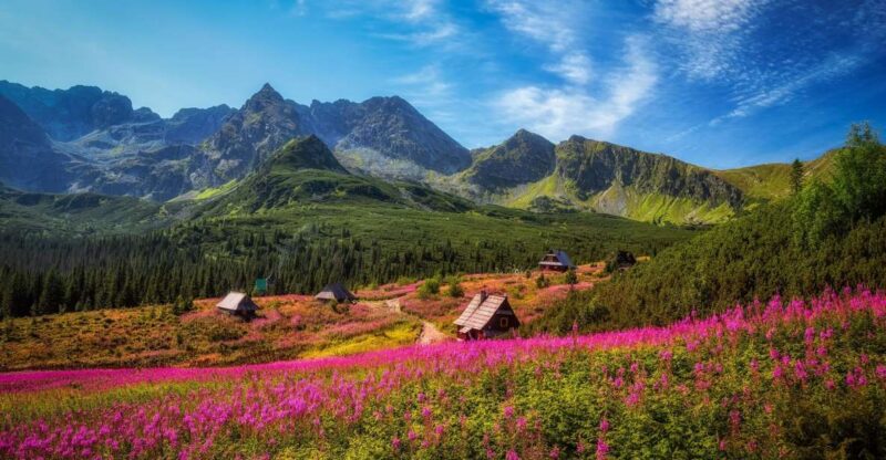 Zakopane: Private City Tour - Location and Significance