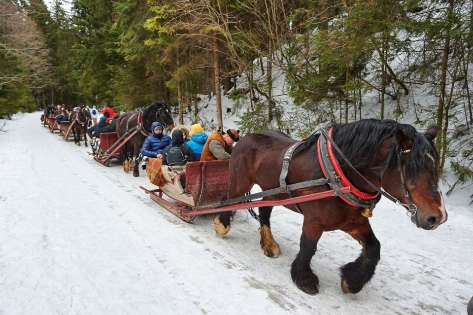 Zakopane: Sleigh Ride With Transfers and Lunch Option - Experience Highlights