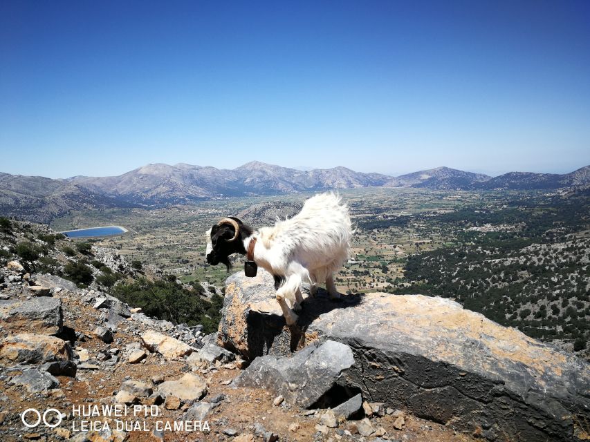 Zeus Cave and Lassithi Plateau Day Tour - Itinerary Highlights