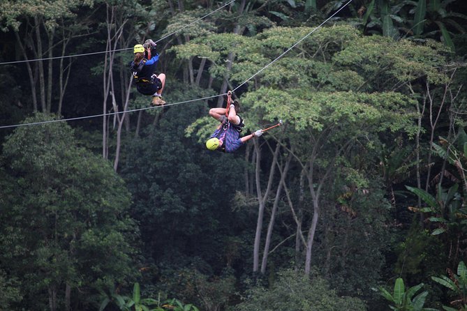 Zip Line Adventure in Machupicchu - Zipline Circuit and Duration