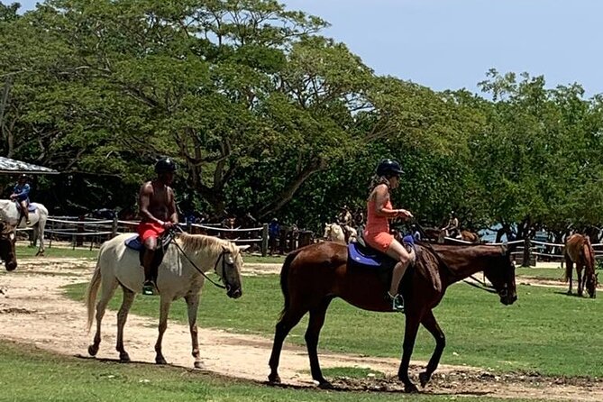 Zipline, Horseback Ride, ATV and Catamaran From Montego Bay - ATV Adventure Highlights