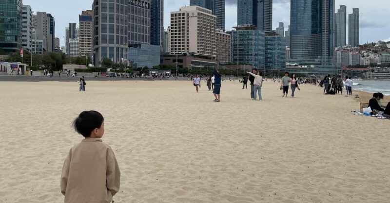 3 Day Busan Tour All Inclusive Hotel, Guide, Lunch and Coach - Key Points