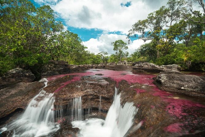 3-Day Trip to Caño Cristales From Bogota - Good To Know