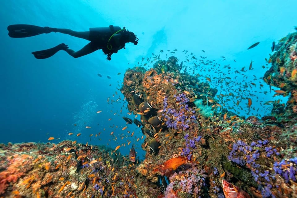 3 Fun Dives for Certified King Cruiser Wreck and Koh Dok Mai - Key Points