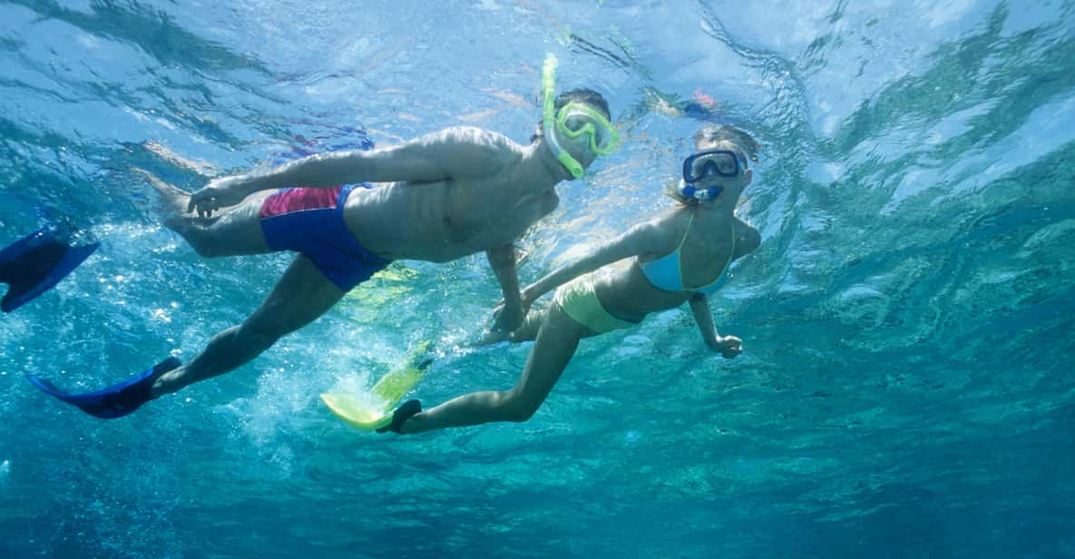 3- Hour Waikiki Snorkel Adventure - Key Points