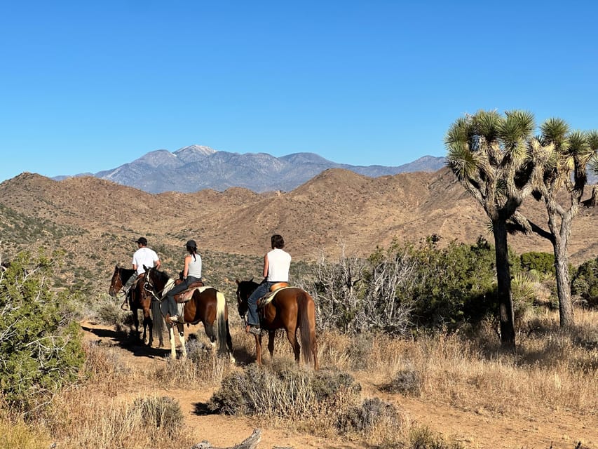 3 Hr Guided Horseback Ride: Joshua Tree National Park - Key Points