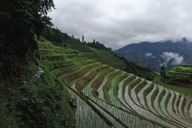 1-Day Longji Terrace Fields-Pingan Village Tour With the English Speaking Driver - Detailed Itinerary