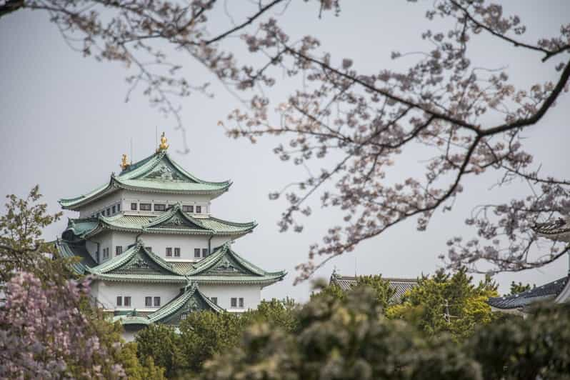 1-Day Tour: Nagoya Castle, Gardens & Historic Estate - Highlights of the Experience