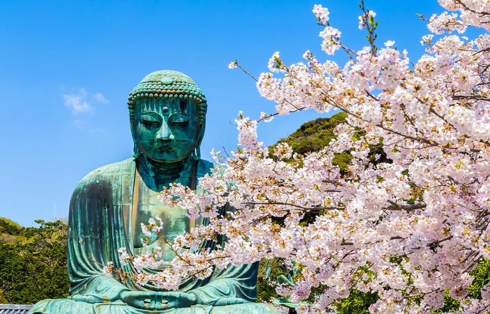 1-Day Tour of Kamakura Buddha, Enoshima, Shrine From Tokyo - Transportation and Logistics