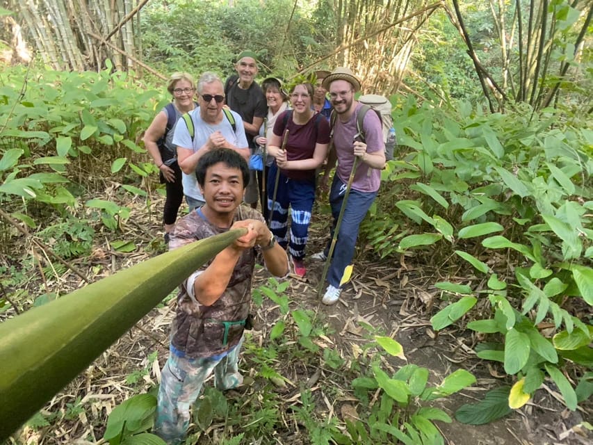 1 Day Trekking : Chiang Rai Popular Activity,Fun in Nature. - Itinerary Highlights