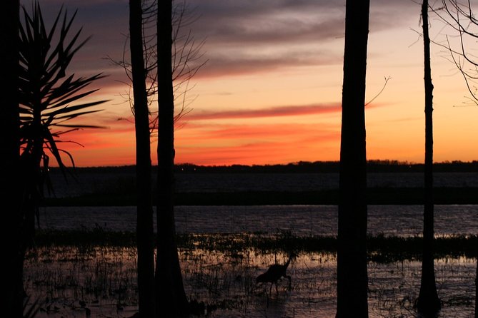 1-Hour Evening Airboat Ride - Booking Your Airboat Ride