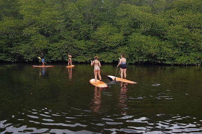 1 Hour Mangrove Tour From Lembongan With Kayak, Paddle, or Boat - Pricing Information