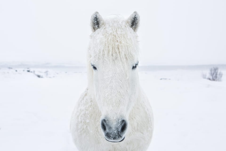 1 Week Luxury Iceland Aurora Borealis Photography Workshop - Daily Itinerary