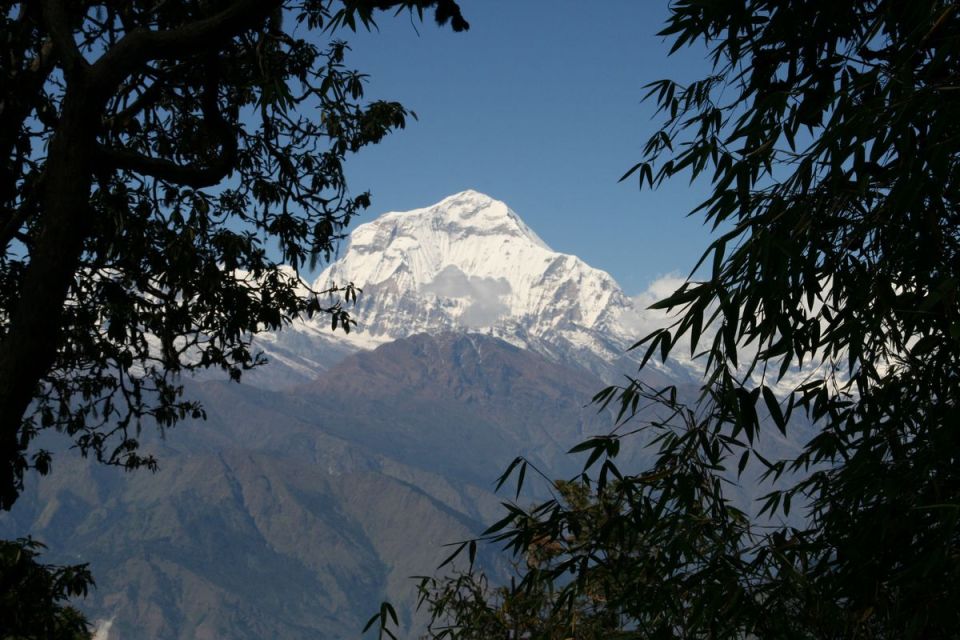 14-DAY Annapurna Comfort Trek With Rafting and Jungle Safari - Accommodation Options