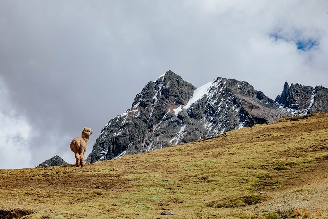 2 Day Hike In Rainbow Mountain And Red Valley - Breathtaking Landscapes and Geological Wonders