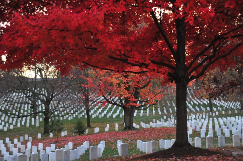 2-Hour Arlington Cemetery Morning Guided Walking Tour - Tour Highlights