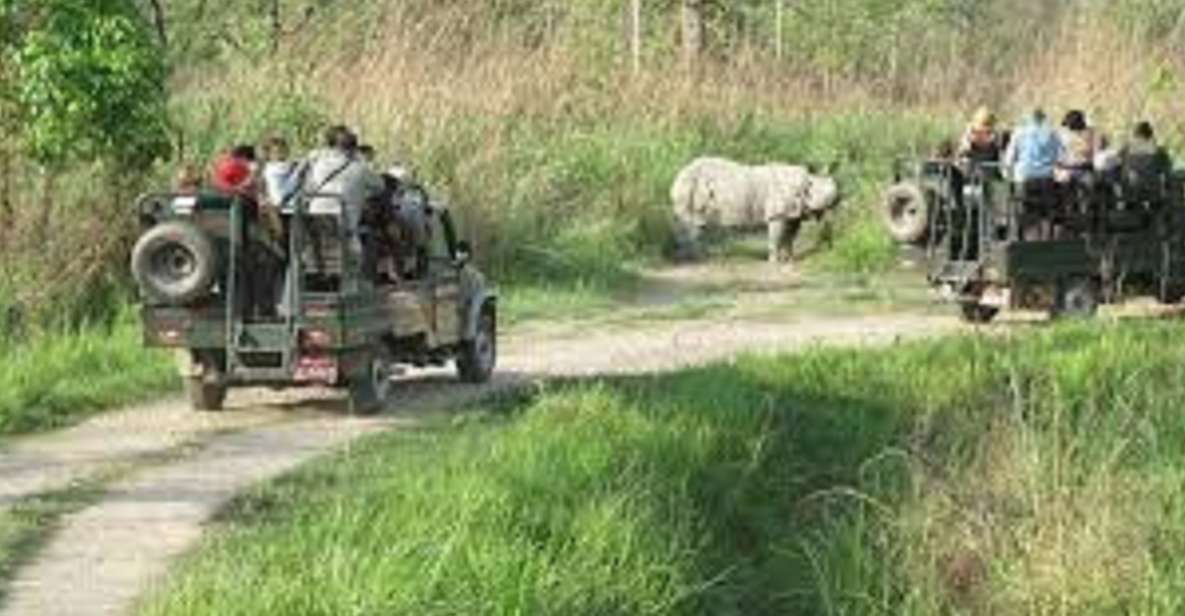 2 N 3 Days Chitwan Tour Package From Pokhara or Kathmandu - Chitwan National Park