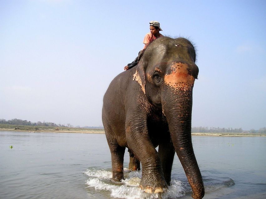 2 Night 3 Days Chitwan Jungle Safari Tour (Full Board) - Detailed Itinerary