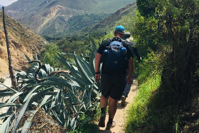 3 Day 2 Night Trek / Colca Canyon - Highlights and Activities