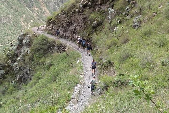 3-Day Custom Colca Canyon Trek From Arequipa - Traveler Information