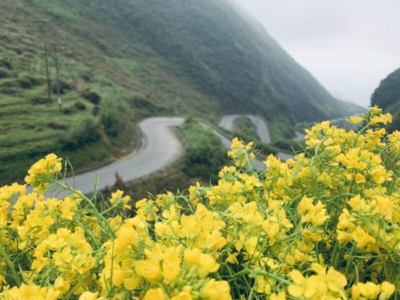 3-Day Ha Giang Loop Group Tour by Car, Motorbike & Easyrider - Included Services and Amenities