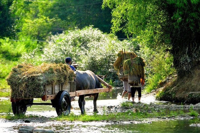 3-Day Trekking In Pu Luong Nature Reserve Private Tour - Day 2 Itinerary