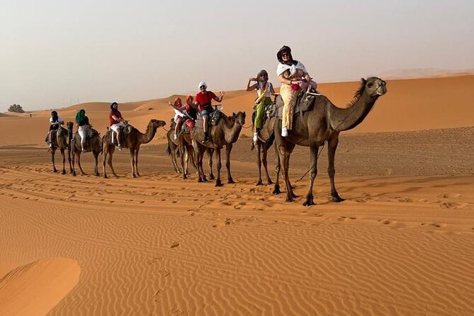 3 Days Desert Tour From Marrakech to Merzouga Dunes & Camel Trek - Day 2 Highlights