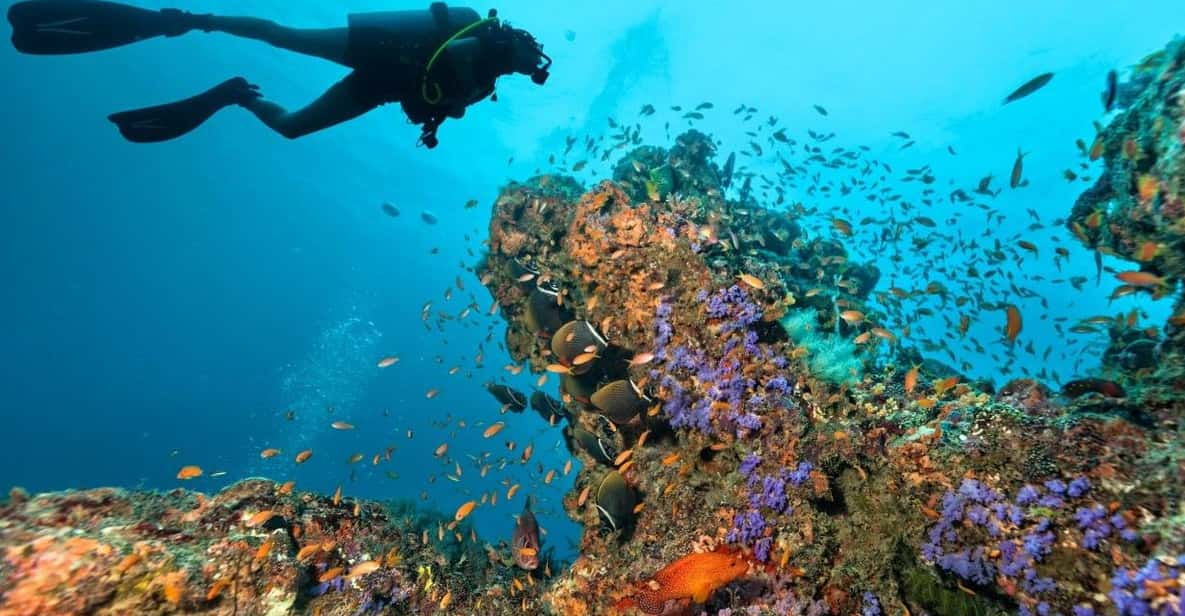 3 Fun Dives for Certified King Cruiser Wreck and Koh Dok Mai - Itinerary and Diving