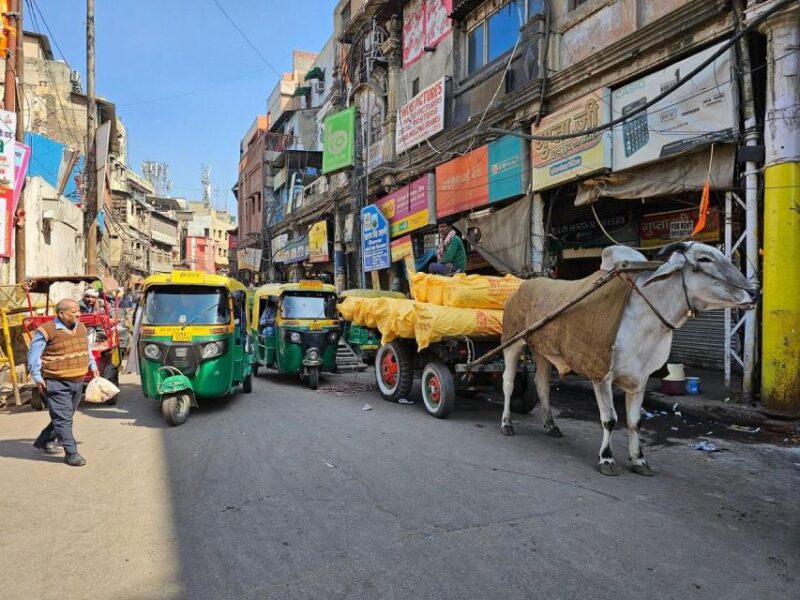 3-Hour Agra Heritage Walking Tour With Tuk-Tuk Ride - Cultural Insights of Agra
