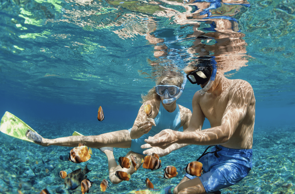 3- Hour Waikiki Snorkel Adventure - Additional Information