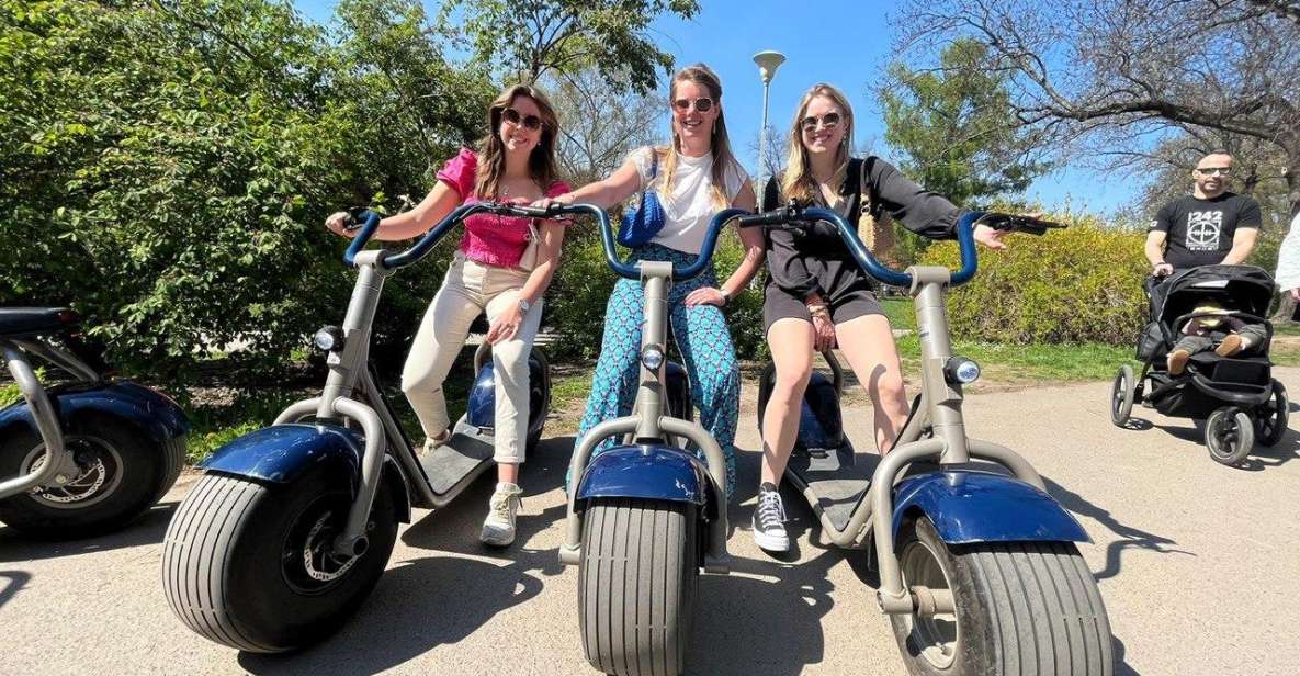 3 Hours Hamburg E-Scooter Tour - Tour Features