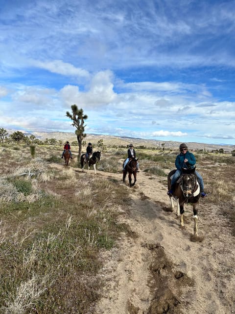 3 Hr Guided Horseback Ride: Joshua Tree National Park - Customization Options