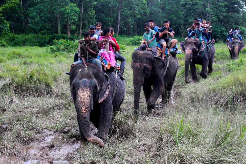 3 Nights Chitwan Adventure : With 1 Night Jungle Tower Stay - Included Services