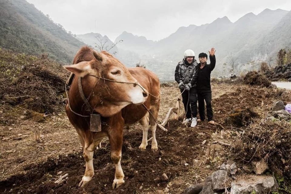 4-Day Ha Giang Loop: Nature, Culture, Adventure - Included Services