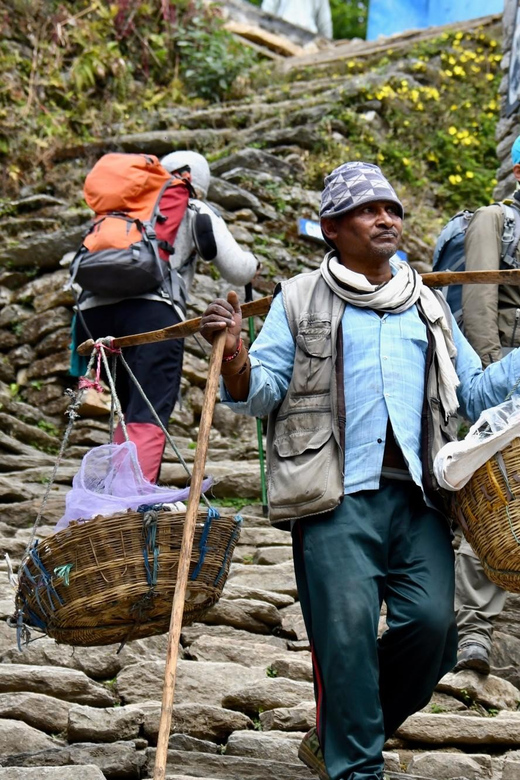 4-Day Mesmerizing Mardi Himal Guided Trek Pokhara - Trekking Experience