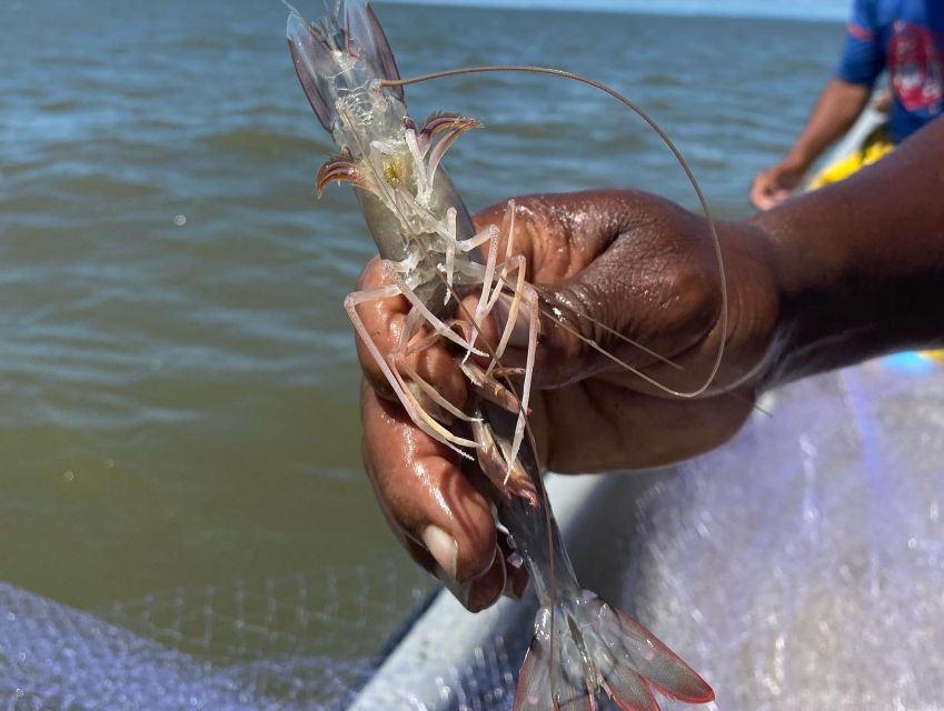 4-Day Pacific Tour: Explore Guapi's Hidden Treasures. - Unique Culinary Experiences