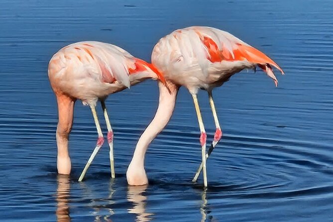4-Day Tour in San Pedro De Atacama - Included Experiences
