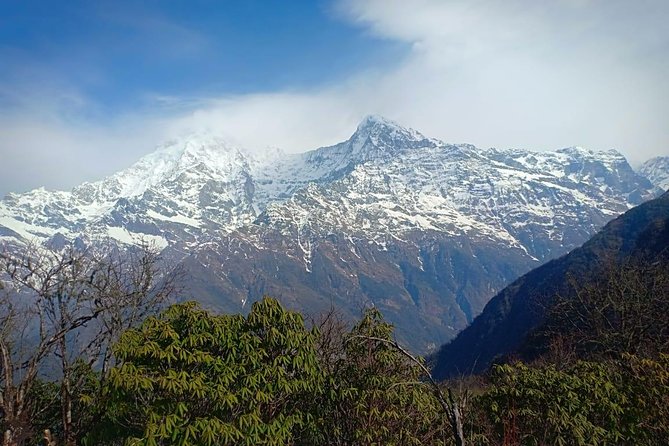 4 Days Mardi Himal Base Camp Trek - 4500 Meters - Inclusions and Services