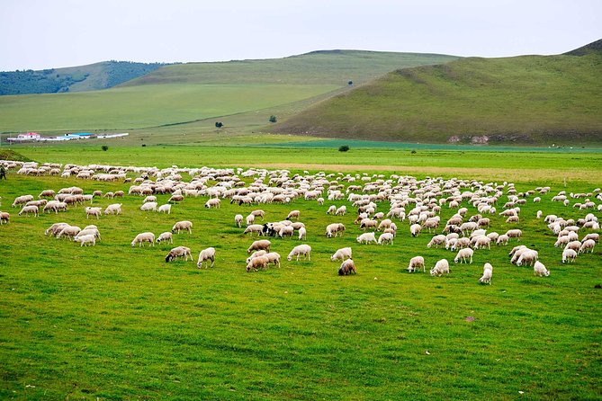 4 Days Tour: Central Mongolia - Highlights of the Tour