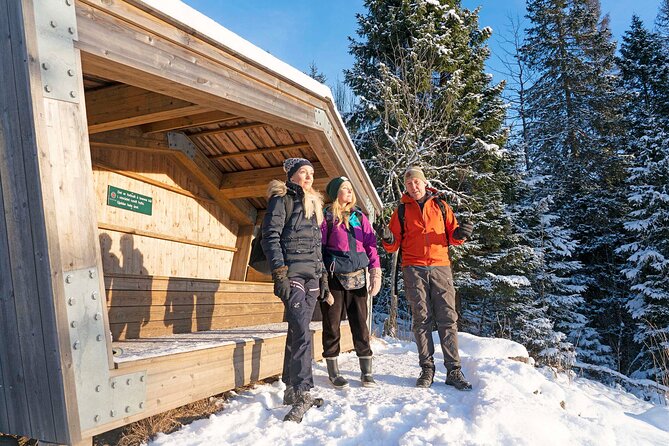 4 Hours Winter View of the Oslofjord Walk Tour - Frognerseteren