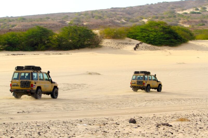 4x4 Boa Vista South Jeep Expedition 4h - Guest Reviews